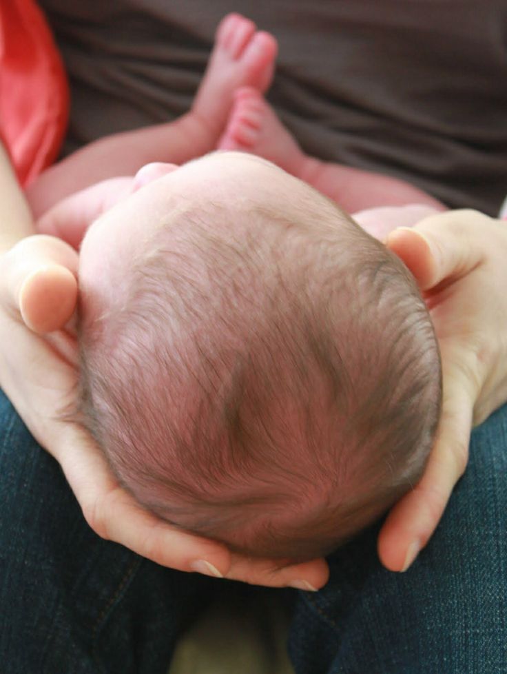 A newborn baby's head cradled gently in a parent's hands, showing fine, dark hair covering the scalp shortly after birth, before the typical newborn hair shedding phase begins."