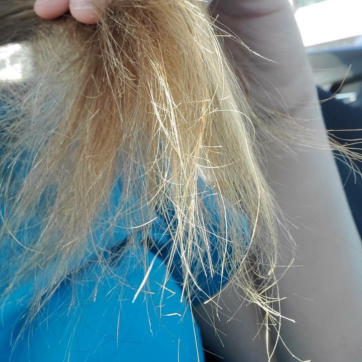 split ends on child's hair