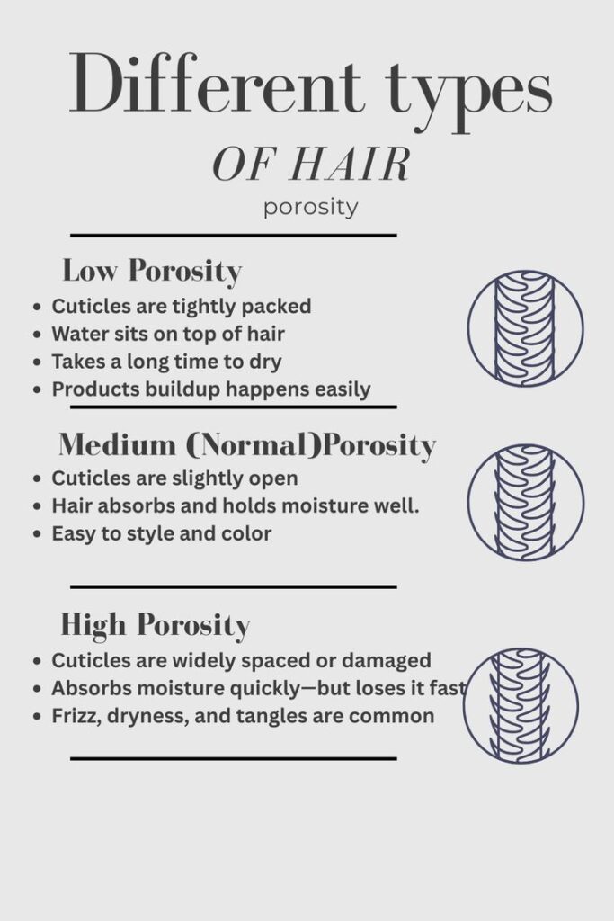  Infographic showing three hair porosity types, low, medium, and high, with cuticle diagrams and how each affects moisture and styling.