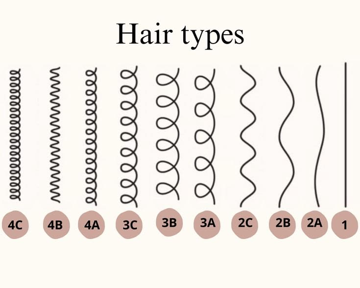 Draft  showing  different hair types