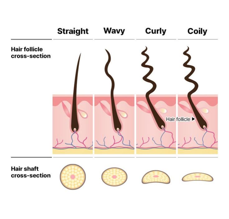 The Different Kids Hair Textures Explained