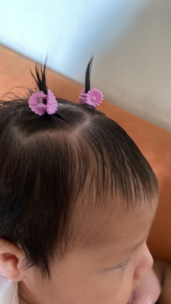 Close-up of a baby's head with hair styled into two small pigtails secured with pink flower clips, showing hair growth thick enough to style."