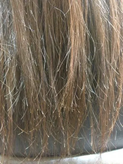 Close-up of dry, frizzy hair strands with visible damage, showing signs of moisture loss and breakage.