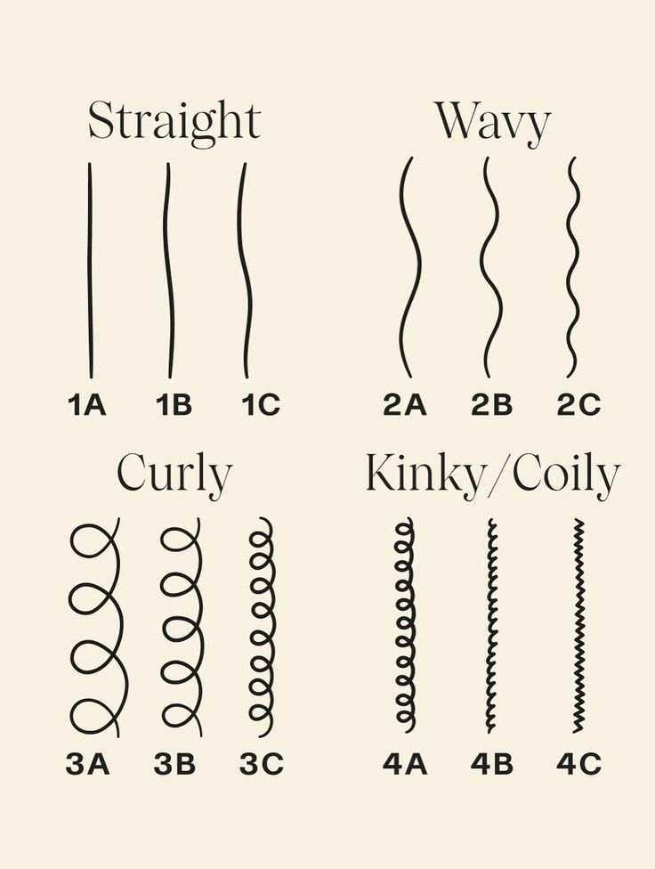 A labeled diagram showing hair type categories from straight to kinky/coily, including subtypes 1A through 4C.