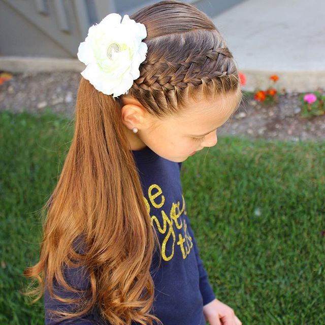 Single braid pinned across one side like a partial crown
