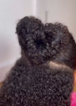 Close-up of curly hair styled into a heart-shaped bun"